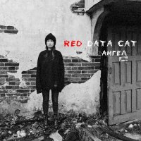 Постер песни Red Data Cat - Ангел
