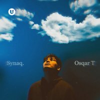 Постер песни Osqar T - Synaq