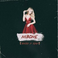 Постер песни Nibone - Виски и кола