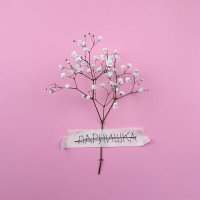 Постер песни Парнишка - Цветочки