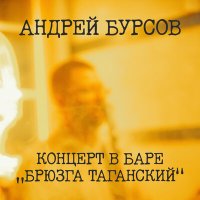 Постер песни Андрей Бурсов - Панк-рок для тех кому за 30