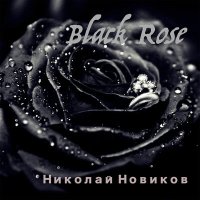 Постер песни Николай Новиков - Black Rose