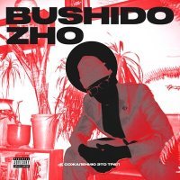Постер песни Bushido Zho - 45-223-44