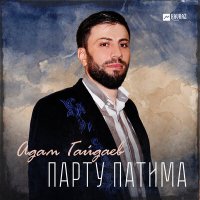 Постер песни Адам Гайдаев - Парту Патима