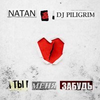 Постер песни Natan, DJ Piligrim - Ты меня забудь (Denny Hardman Remix)
