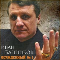 Постер песни Иван Банников - Выйду в поле