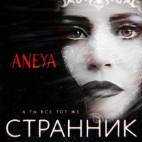 Постер песни ANEYA - А ты все тот же странник