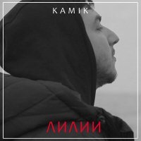 Постер песни Kamik - Лилии