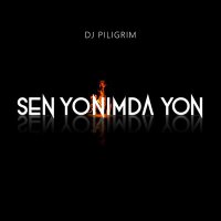 Постер песни DJ Piligrim - Sen Yonimda Yon