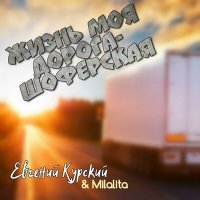 Постер песни Евгений Курский - Жизнь моя дорога-шоферская