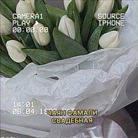 Постер песни Чаян Фамали - Свадебная