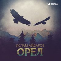 Постер песни Ислам Айдаров - Орёл