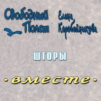 Постер песни Свободный полёт, Елена Коробейникова - Шторы