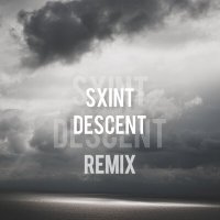 Постер песни SXINT - DESCENT (Remix)