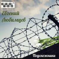 Постер песни Евгений Любимцев - Подснежники
