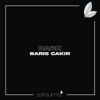 Постер песни Barış Çakır - Dark