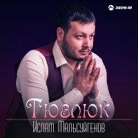 Постер песни Ислам Мальсуйгенов - Тюзлюк (Справедливость)