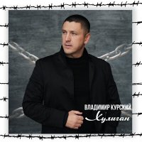 Постер песни Владимир Курский - Потерянные друзья