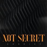 Постер песни Goodiny - Not Secret
