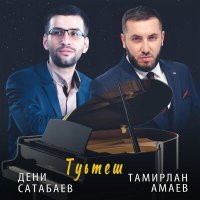 Постер песни Тамирлан Амаев, Дени Сатабаев - Туьтеш
