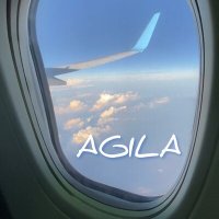 Постер песни AGILA - Песня путешественника (FRTN Remix)