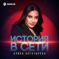 Постер песни Алика Богатырёва - История в сети