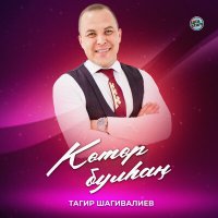 Постер песни Тагир Шагивалиев - Көтөр булһаң