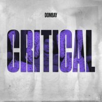 Постер песни Dombay - CRITICAL