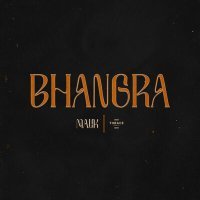 Постер песни Malik - Bhangra