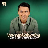 Постер песни Xusniddin Muxammed - Voy sani lablaring