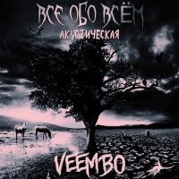 Постер песни Veembo - Все обо всём акустическая