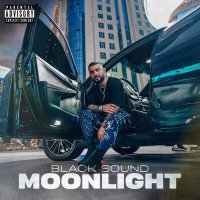 Постер песни Black Sound, Fira, Hotami - MOONLIGHT