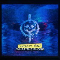 Постер песни Entropy Zero - What The Phonk