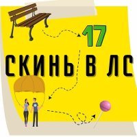 Постер песни скинь в лс - Мои 17