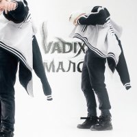 Постер песни Vadix - МАЛО