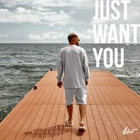 Постер песни M.Hustler, Delphia - Just Want You