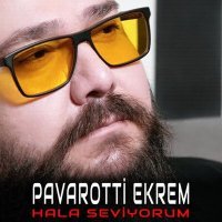 Постер песни Pavarotti Ekrem - Hala Seviyorum