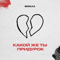 Постер песни Boni.ka - Какой же ты придурок