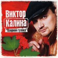 Постер песни Виктор Калина - Душечка