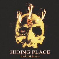 Постер песни RAUDI.$tuart - HIDING PLACE