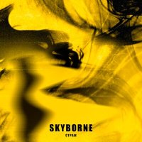 Постер песни Skyborne - Страж