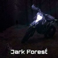 Постер песни Phonker - Dark Forest