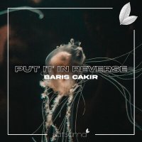 Постер песни Barış Çakır - Put It in Reverse
