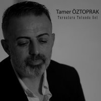 Постер песни Tamer Öztoprak - Turnalara Tutunda Gel