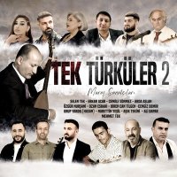 Постер песни Mehmet Tek - Koşar Gider