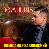 Постер песни Александр Закшевский - Помнишь?