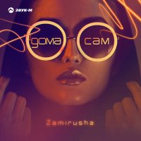 Постер песни Zamirusha - Дома сам