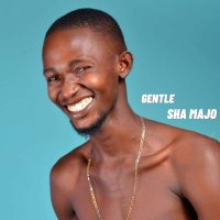Постер песни Gentle - Sha Majo
