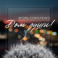 Постер песни Игорь Соколенко - Дом души!