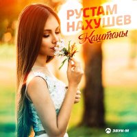 Постер песни Рустам Нахушев - Каштаны